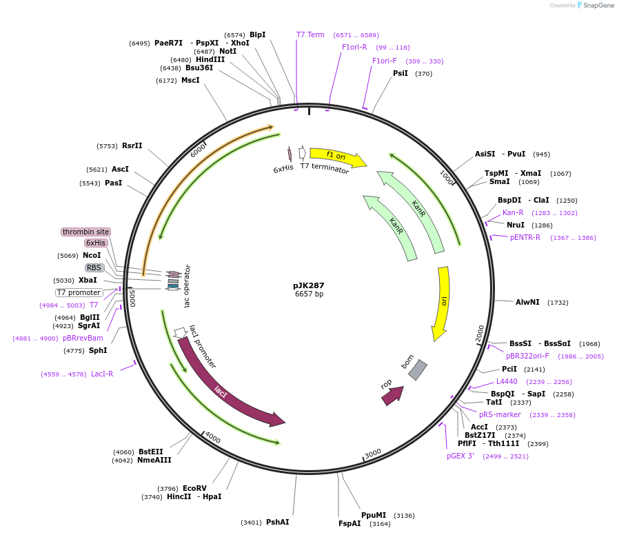 127055_map