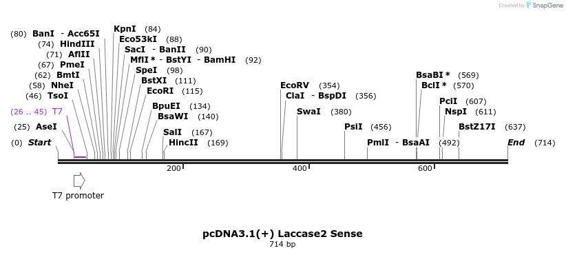 127058_map