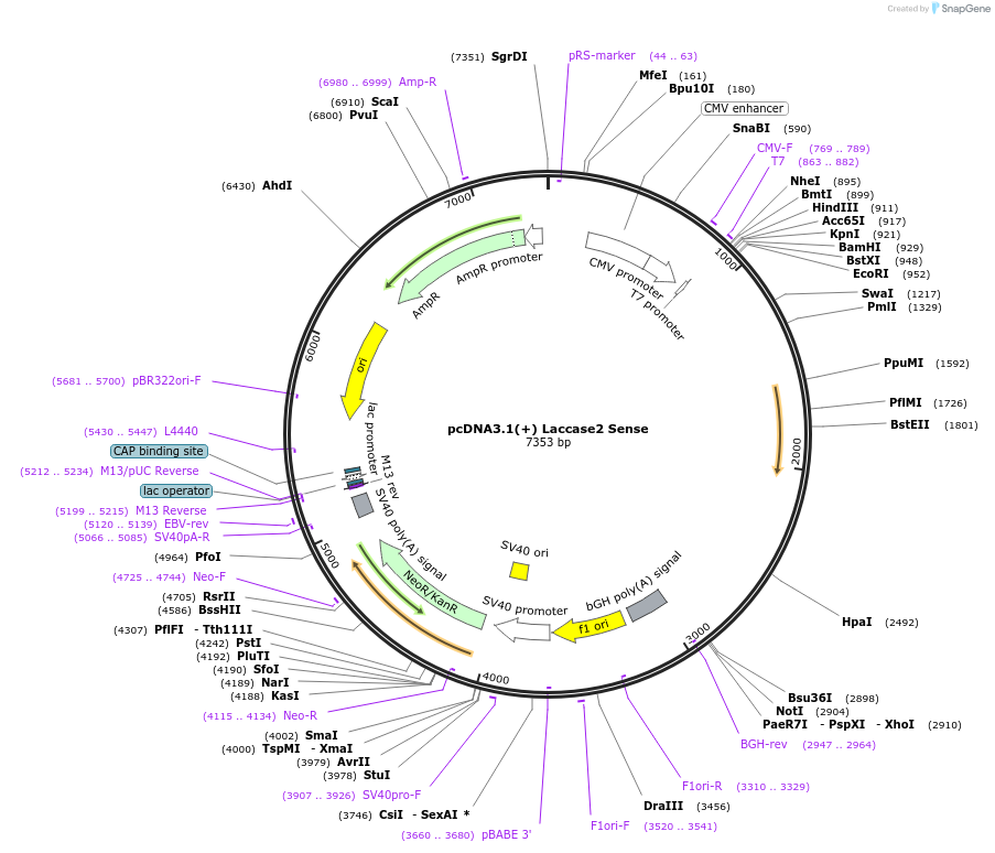 127059_map