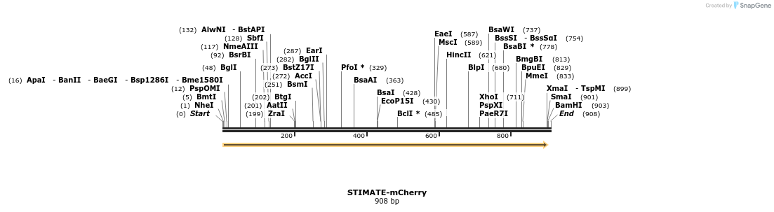 127067_map