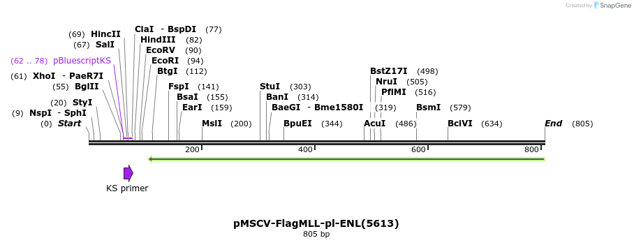 127075_map