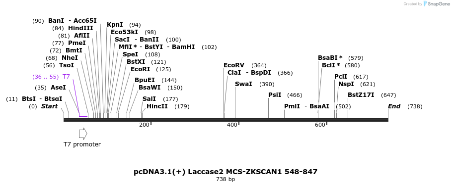127078_map