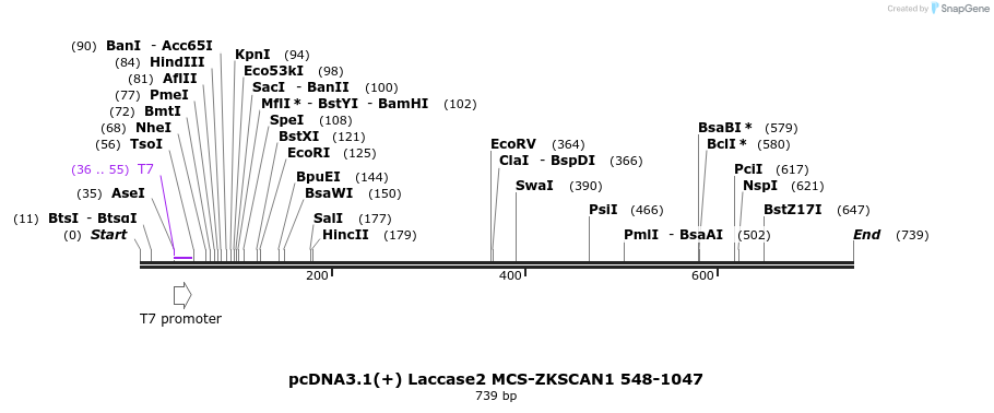127116_map