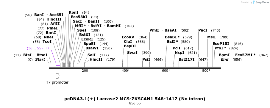 127118_map