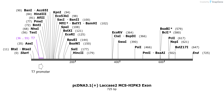 127125_map