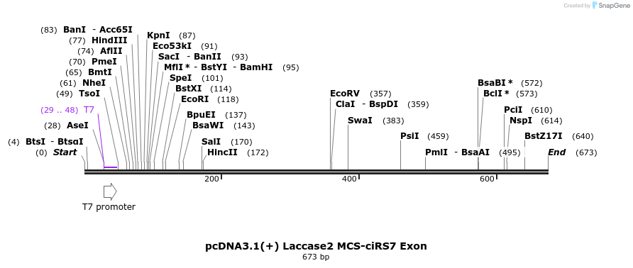 127128_map