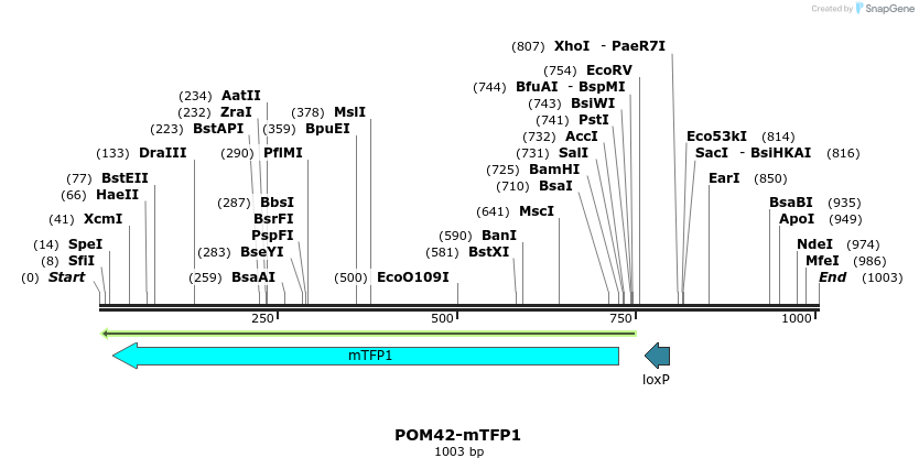 127132_map