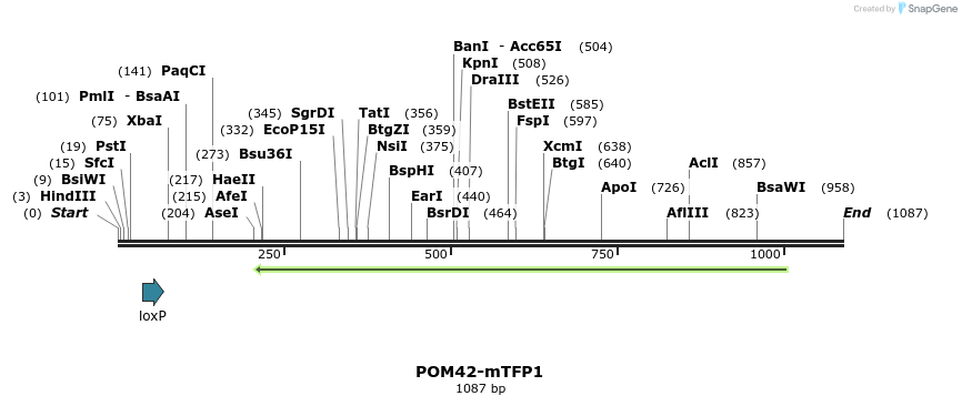 127133_map