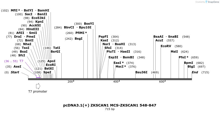 127139_map