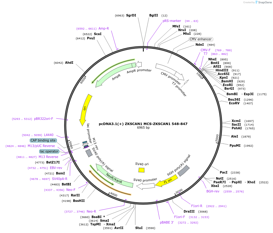 127141_map