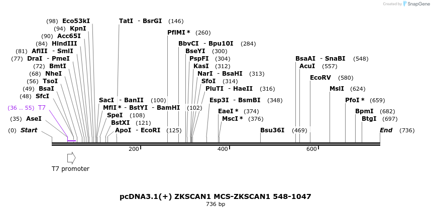 127143_map