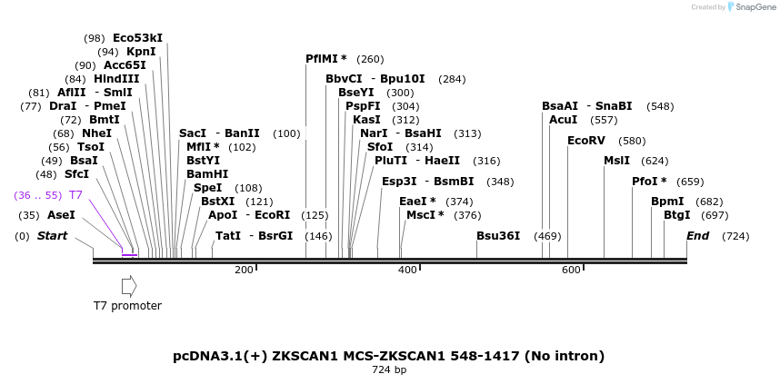 127145_map