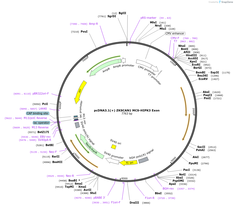 127148_map