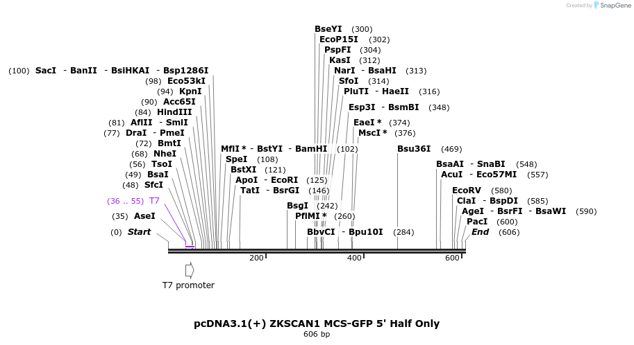 127151_map