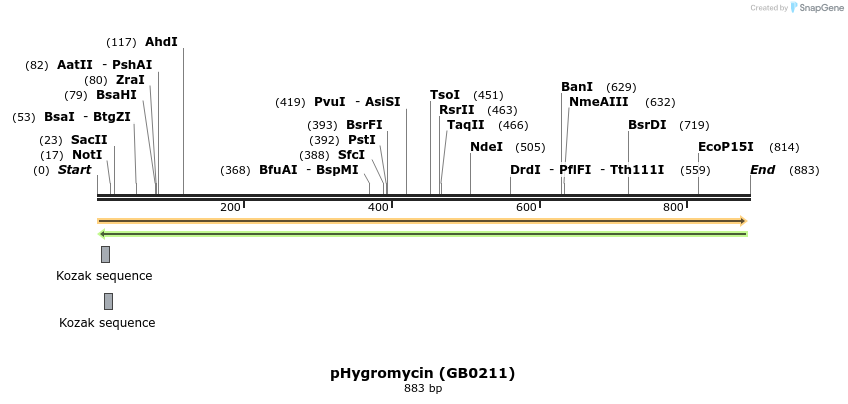 127156_map