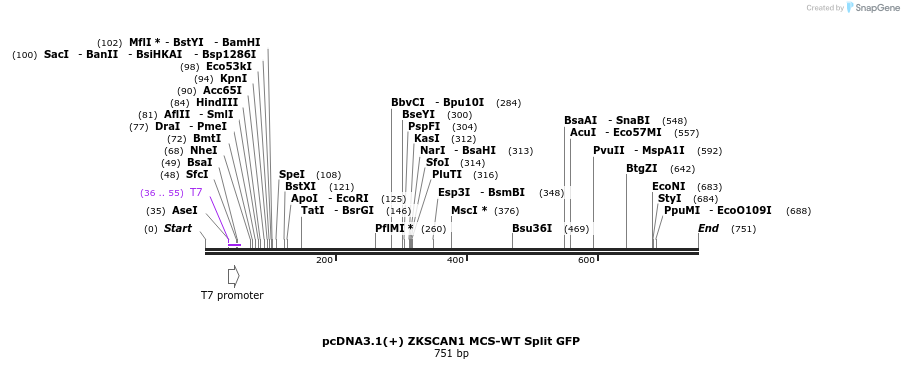 127157_map
