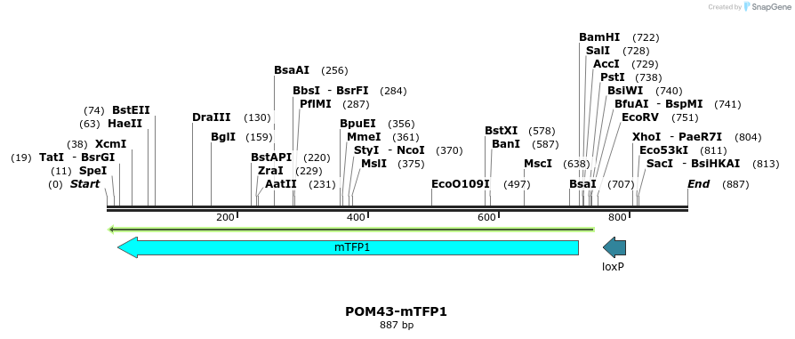 127159_map