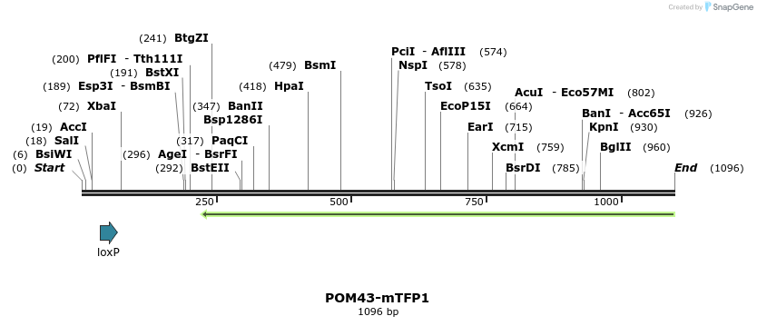 127166_map