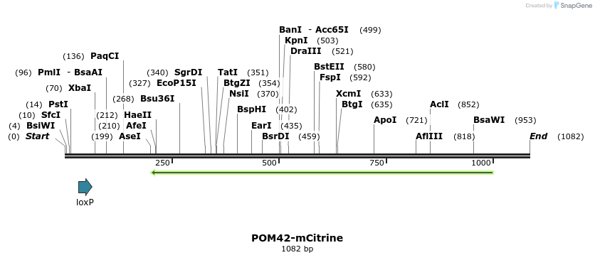 127169_map