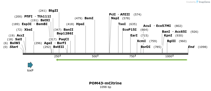 127184_map