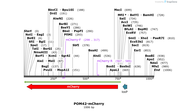 127186_map