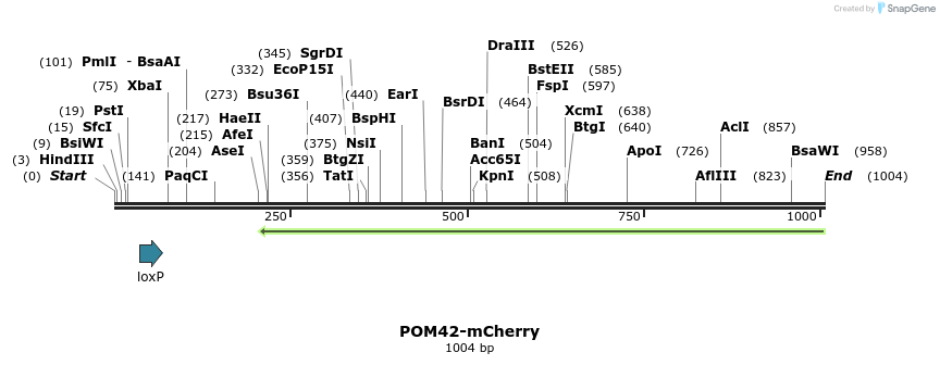 127187_map