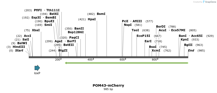 127190_map