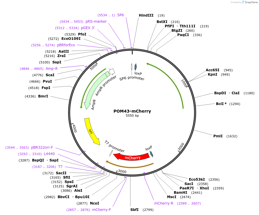 127191_map