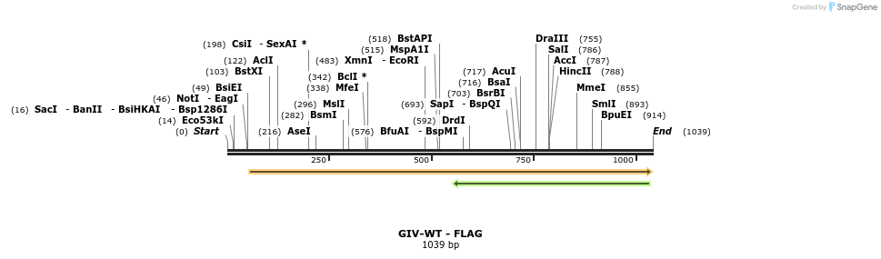 127194_map