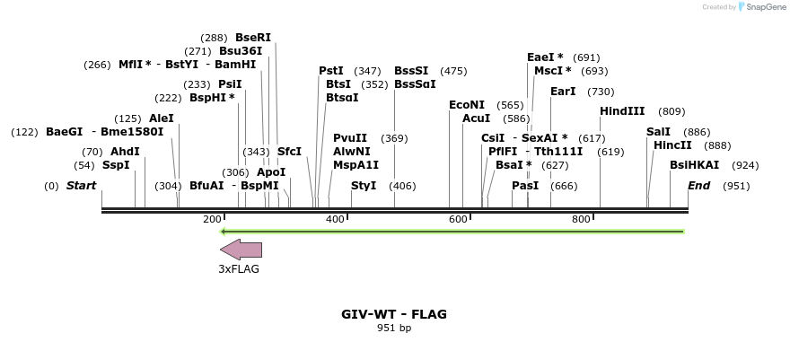 127195_map