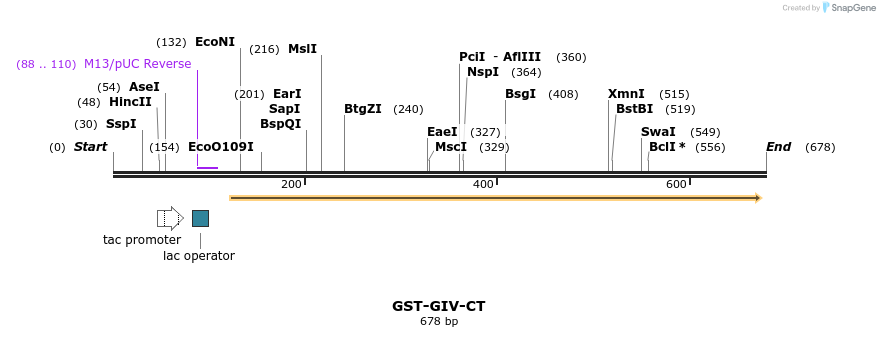 127196_map