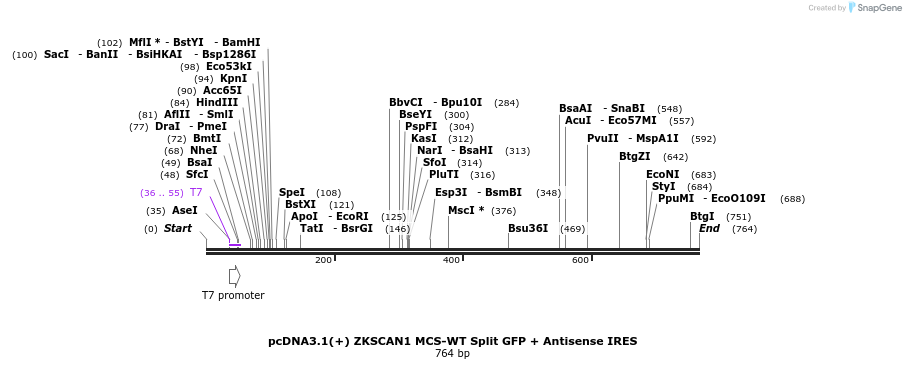 127205_map