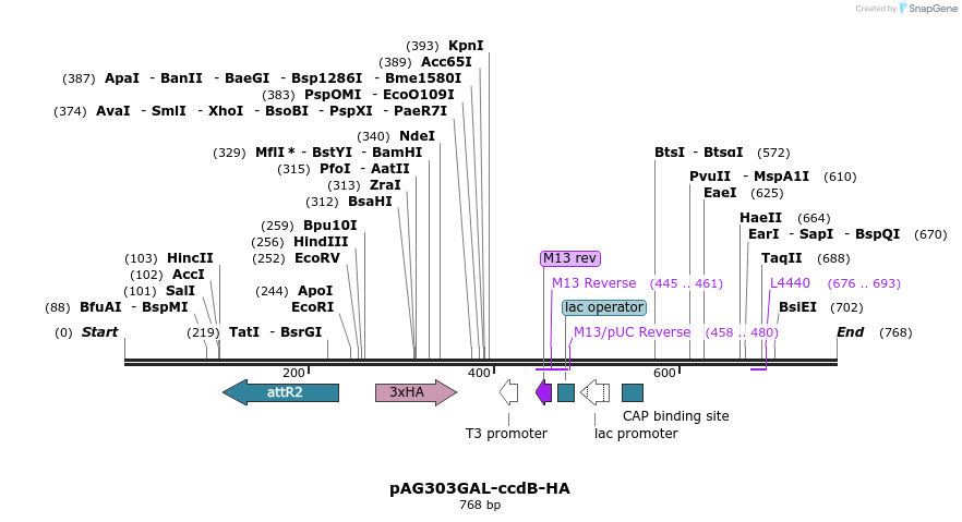 127206_map