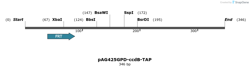 127223_map