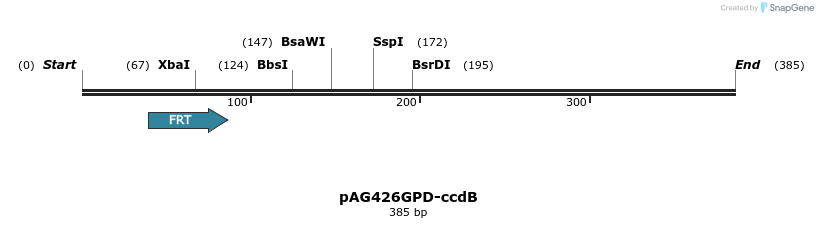 127227_map