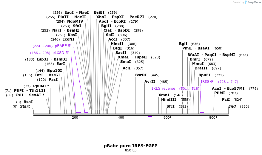 127257_map
