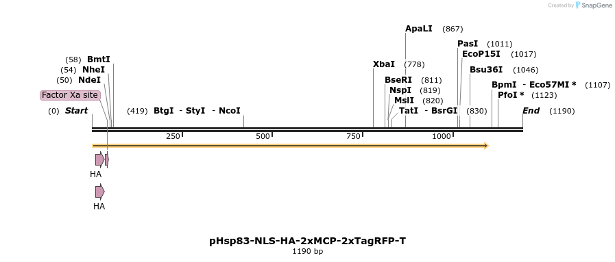 127264_map
