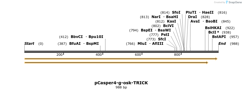 127268_map