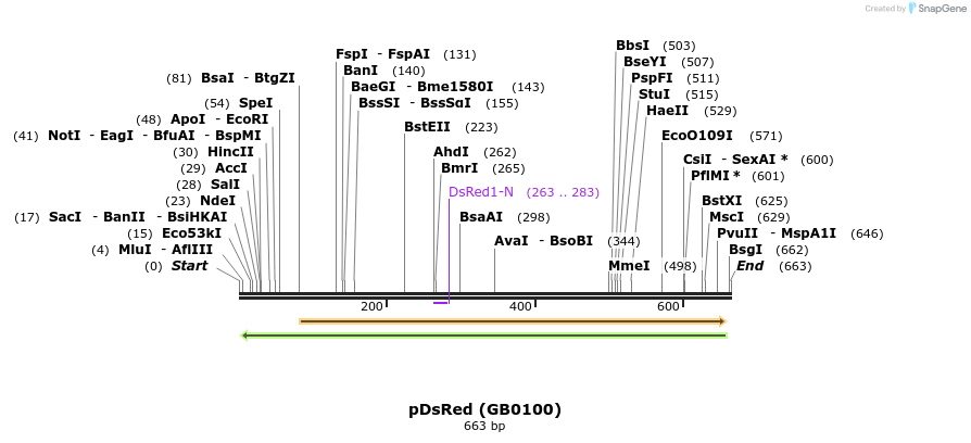 127269_map