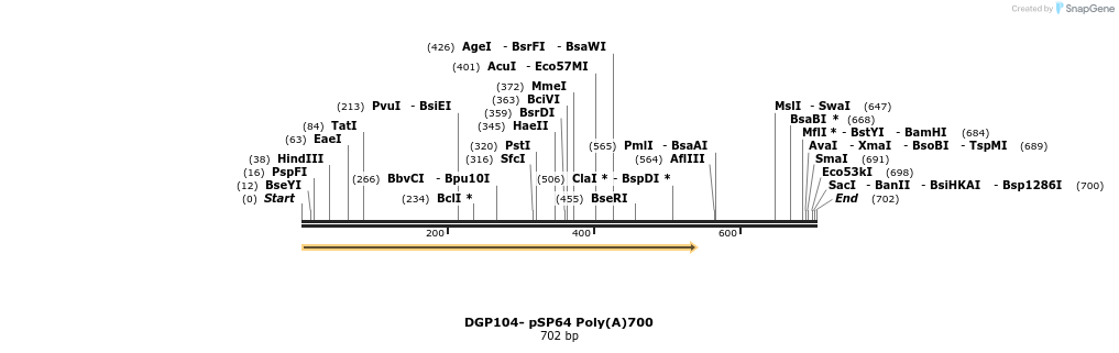 127272_map