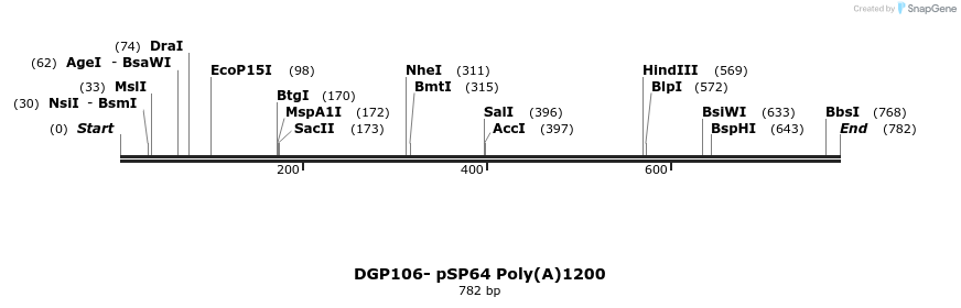 127274_map