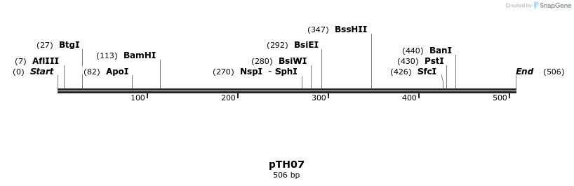 127281_map
