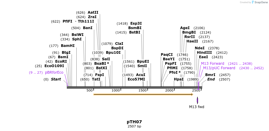 127282_map