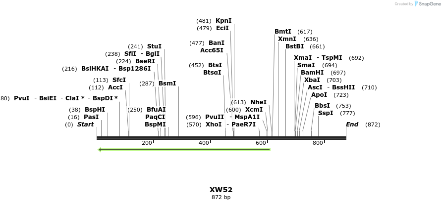 127287_map