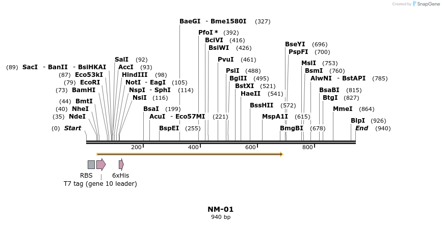 127290_map