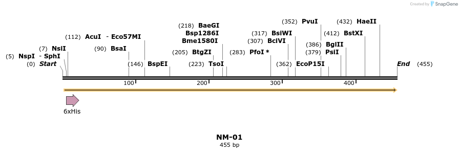 127292_map