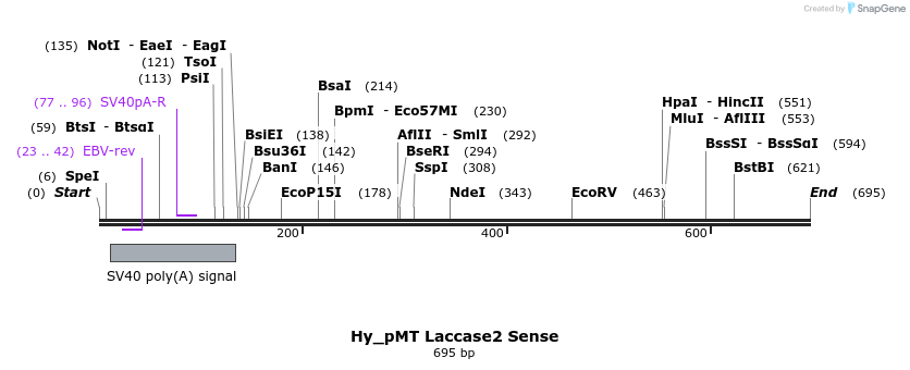 127300_map