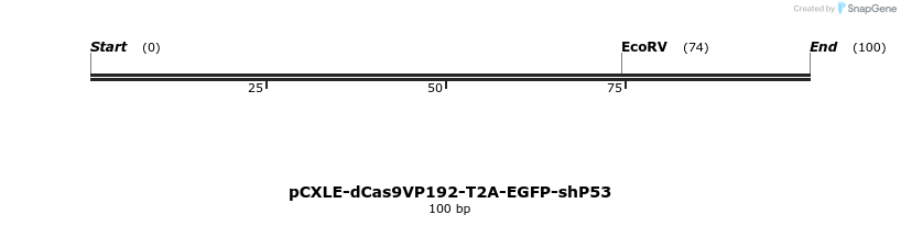 127305_map