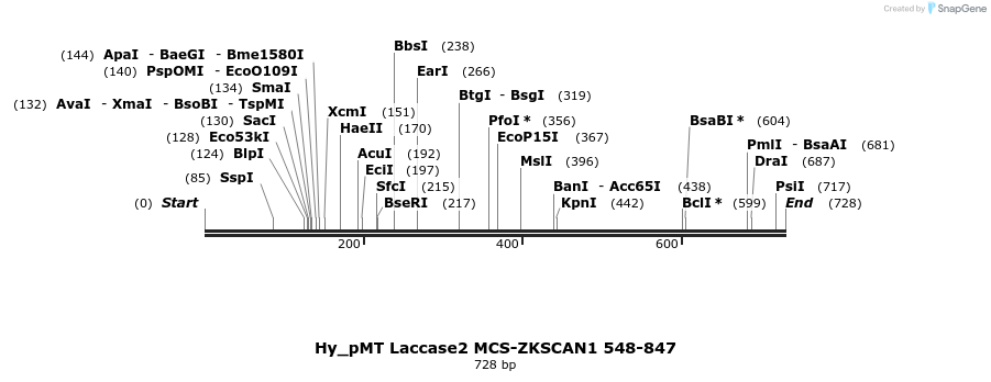 127307_map