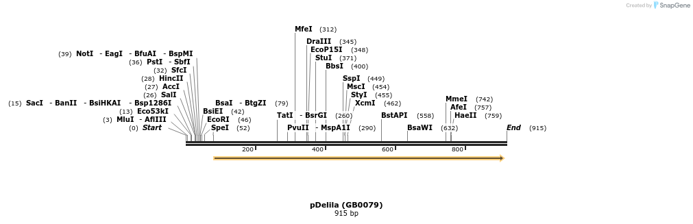 127308_map